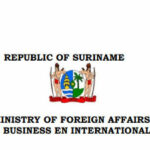 CALL FOR CONSULTANTS MID-TERM EVALUATION CONSULTANT